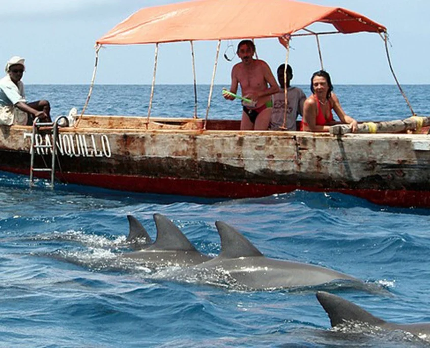 Kizimkazi Dolphins gallery 3